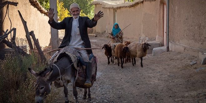 تصاویر خبری گوناگون